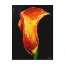 Calla Lily III Postcards by jaisjewels Calla Lily III Postcards