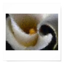 Calla Lily Impressionist posters