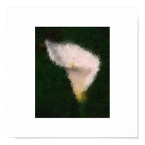 Calla Lily Impressionist posters