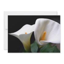 Calla Lily Invitation