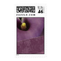 Calla lily - lavendar postage stamp by perfectpostage Calla lily - lavendar postage stamp