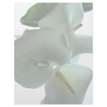 Calla lily customized letterhead