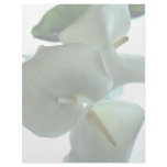 Calla lily customized letterhead