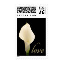 Calla lily Love Postage Stamps stamp
