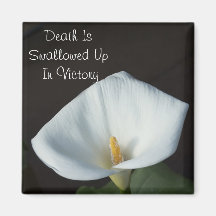 Calla Lily Magnet