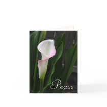 Calla Lily Note Cards cards