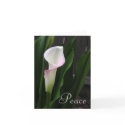 Calla Lily Note Cards