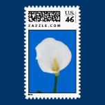 Calla Lily on Blue U.S. Postage stamps