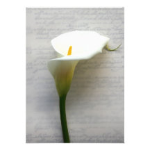 calla lily on old handwriting invitation