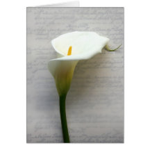 calla lily on old handwriting notecard
