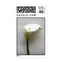 calla lily on old handwriting stamps