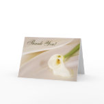 white, cream, ivory, calla lily, lily, flower,