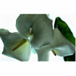 Calla lily acrylic cut outs