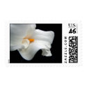 Calla Lily postage