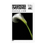 Calla Lily Postage postage