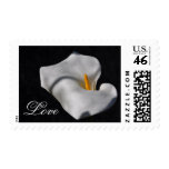 Calla Lily stamps