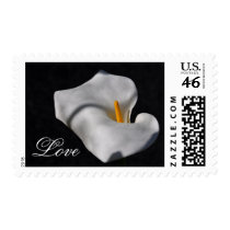 Calla Lily postage