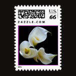 calla Lily postage stamp by ellissulcs calla Lily postage stamp