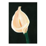 Calla Lily posters