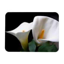 Calla Lily  Premium Magnet