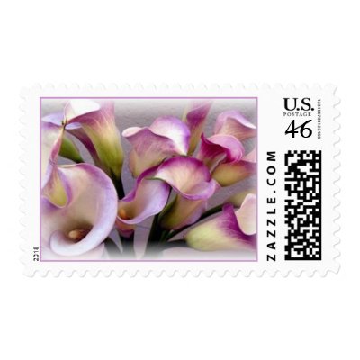 Calla Lily Purple Postage I