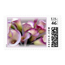 Calla Lily Purple Postage I