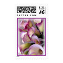 Calla Lily Purple Postage vertical postage