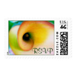 Calla Lily RSVP postage stamp