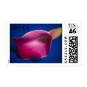 Calla Lily, RSVP postage