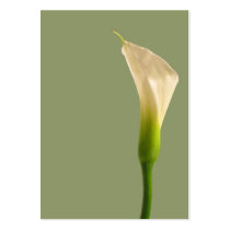 Calla lily Sage Green Card Business Cards