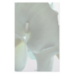 Calla lily custom stationery