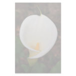 Calla lily stationery design