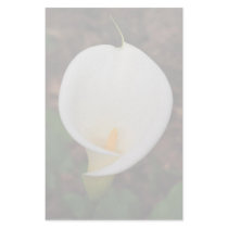 Calla lily stationery design