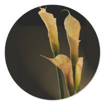 Calla Lily sticker stickers