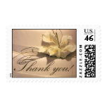 Calla Lily Thank You! Postage Stamps