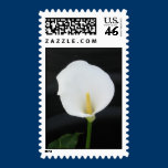 Calla Lily U.S. Postage stamps