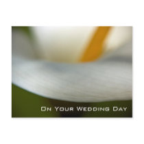 Calla Lily | Wedding Congratulation postcards