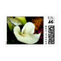 Calla lily Wedding Postage postage by aslentz Calla lily Wedding Postage postage