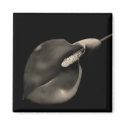 Calla - Magnet