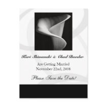CallaLily Save the Date Post Cards
