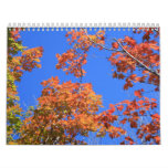 callander (10) wall calendars