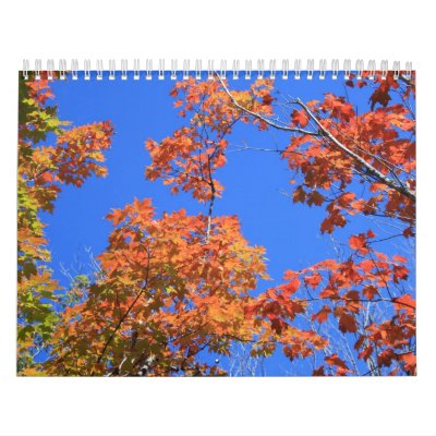 callander (10) wall calendars by juliekate2000