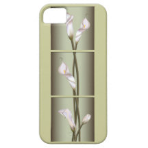 Callas in Frame iPhone 5 Cases