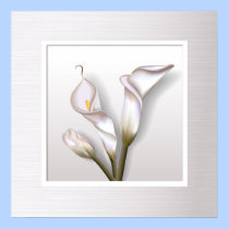Callas In Frame posters