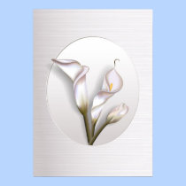 Callas In Frame posters