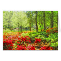 Callaway Azaleas Cards