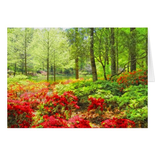 Callaway Azaleas Cards