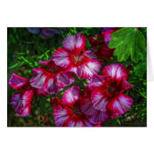 Callaway Flowers Card