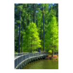 Callaway Landscape