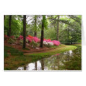 Callaway Stream cards by ktyqueen Callaway Stream cards